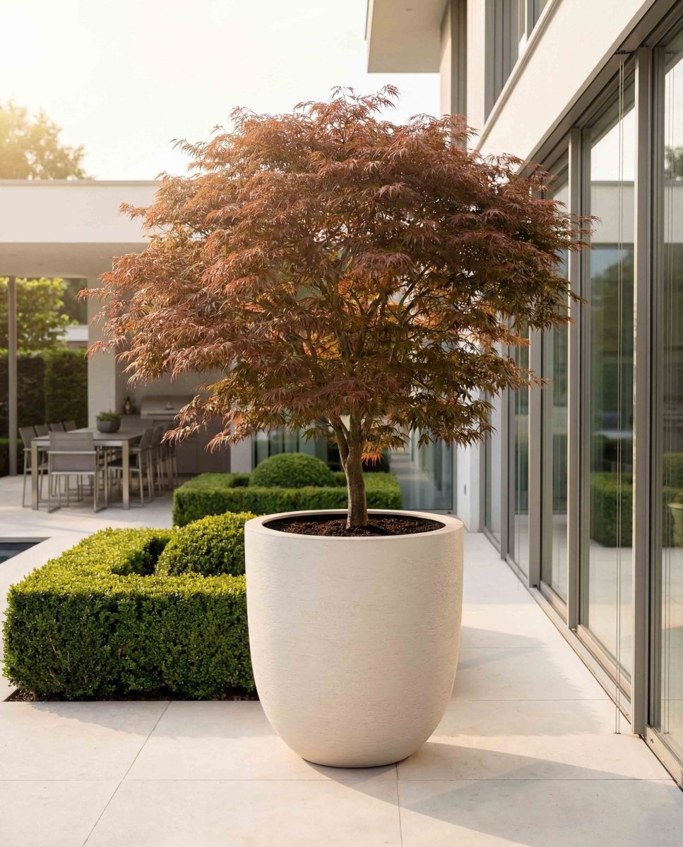 Tall Egg Pot | Terra Collection | Champagne White - ESCHBACH