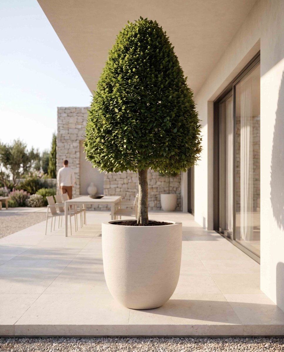 Tall Egg Pot | Terra Collection | Champagne White - ESCHBACH
