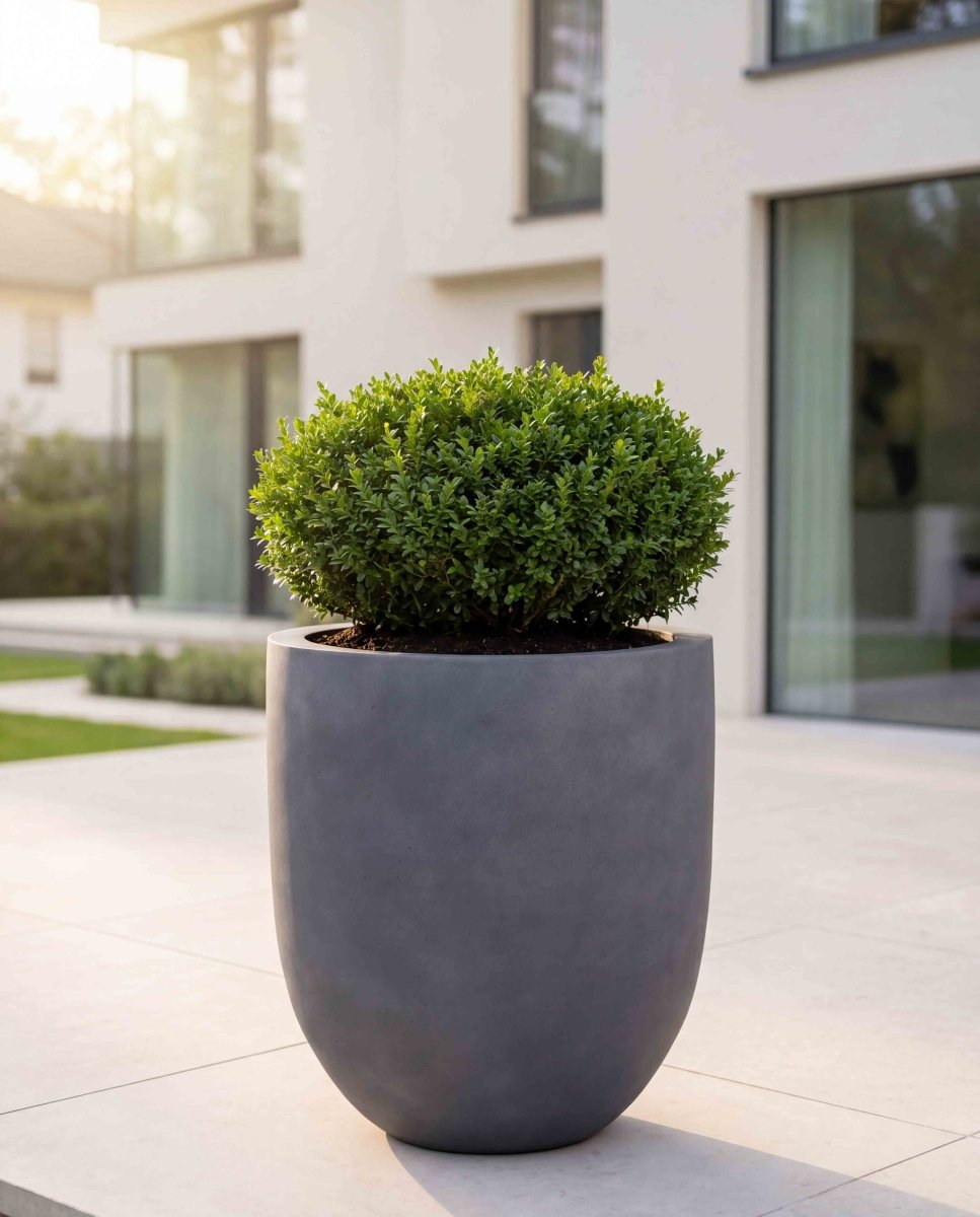 Tall Egg Pot | Loft Collection | Lead Grey - ESCHBACH