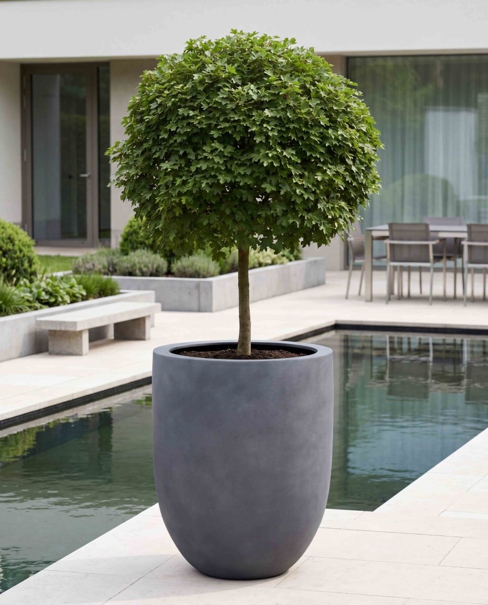 Tall Egg Pot | Loft Collection | Lead Grey - ESCHBACH