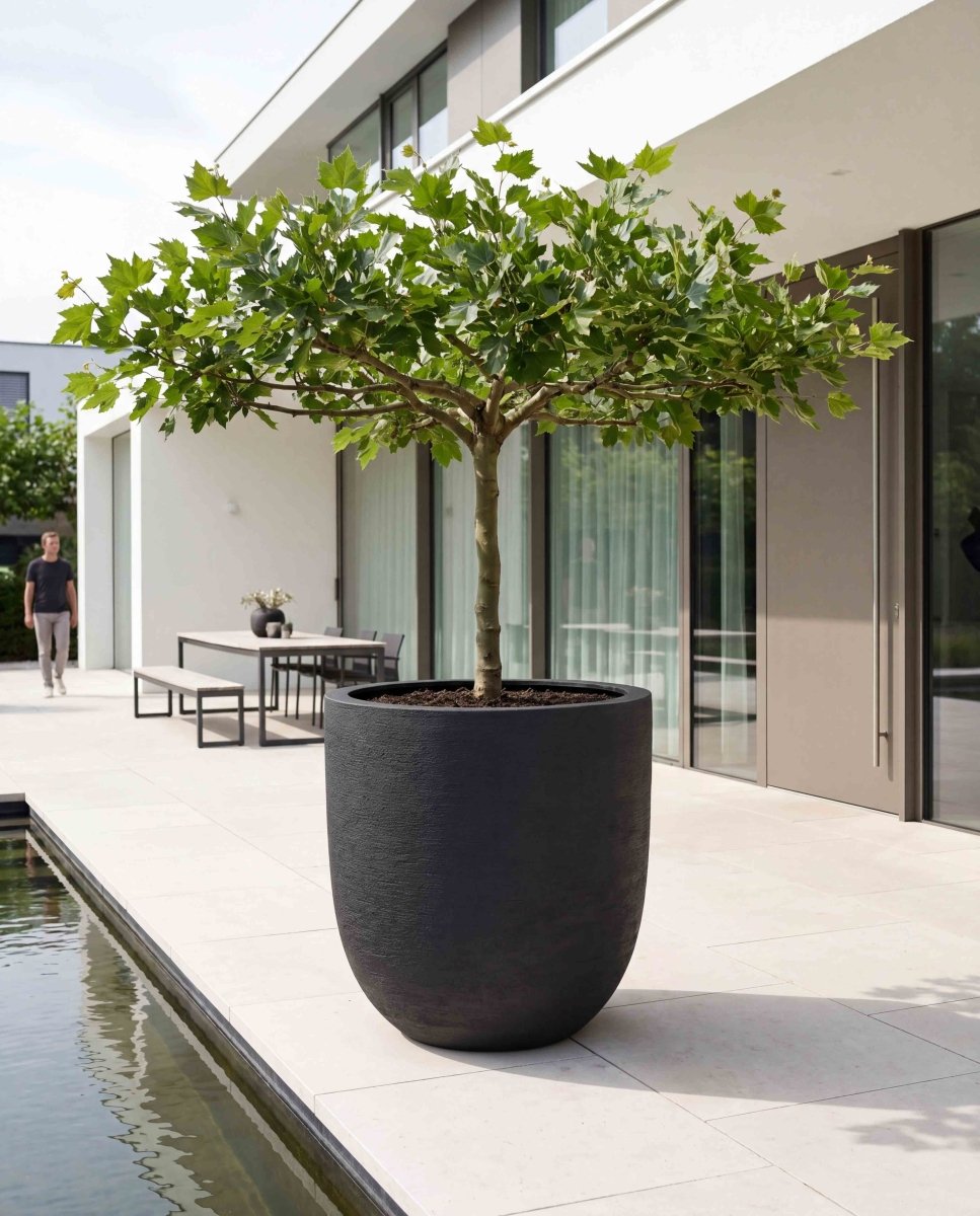 Tall Egg Pot | Terra Collection | Black Sand - ESCHBACH