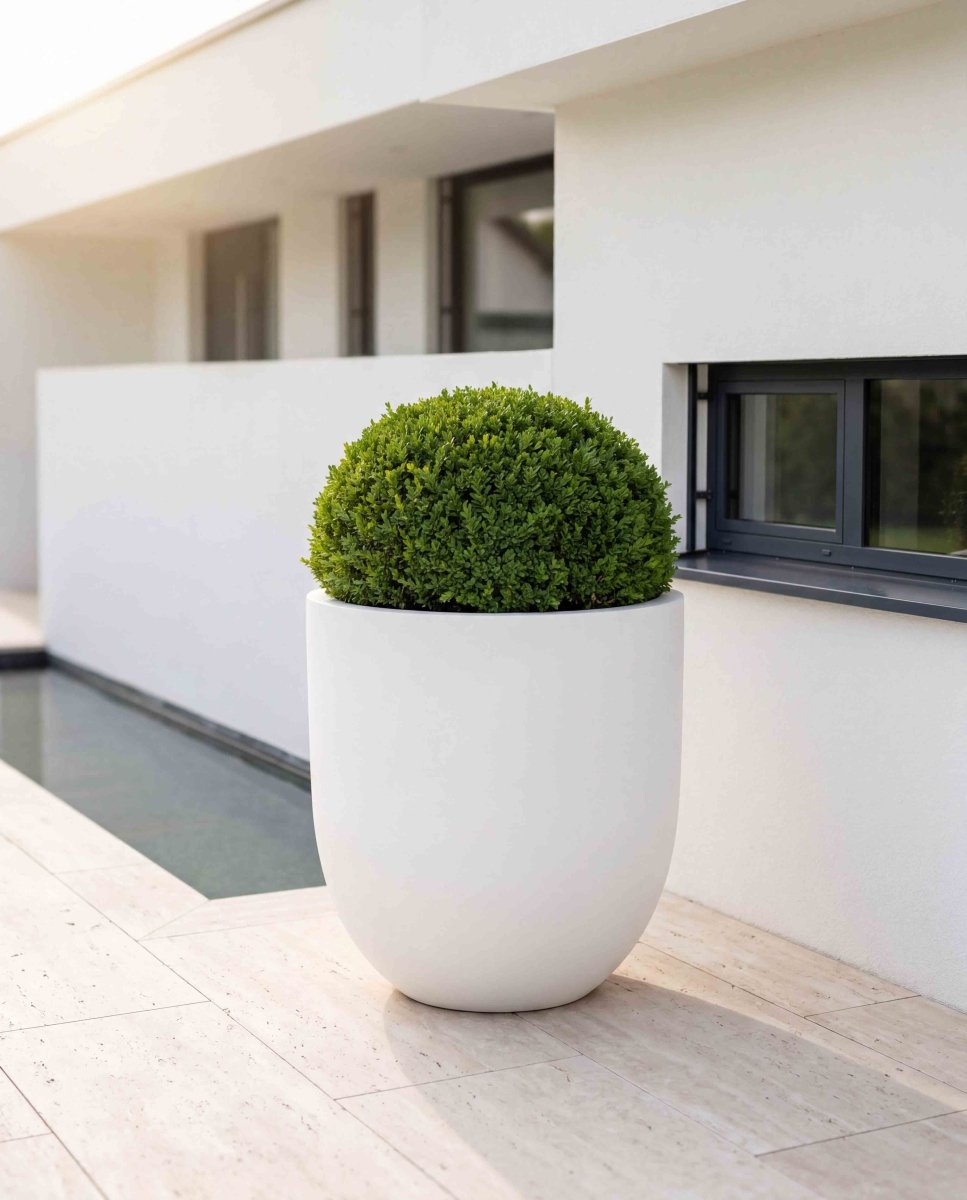 Tall Egg Pot | Pure Collection | Santorin White - ESCHBACH