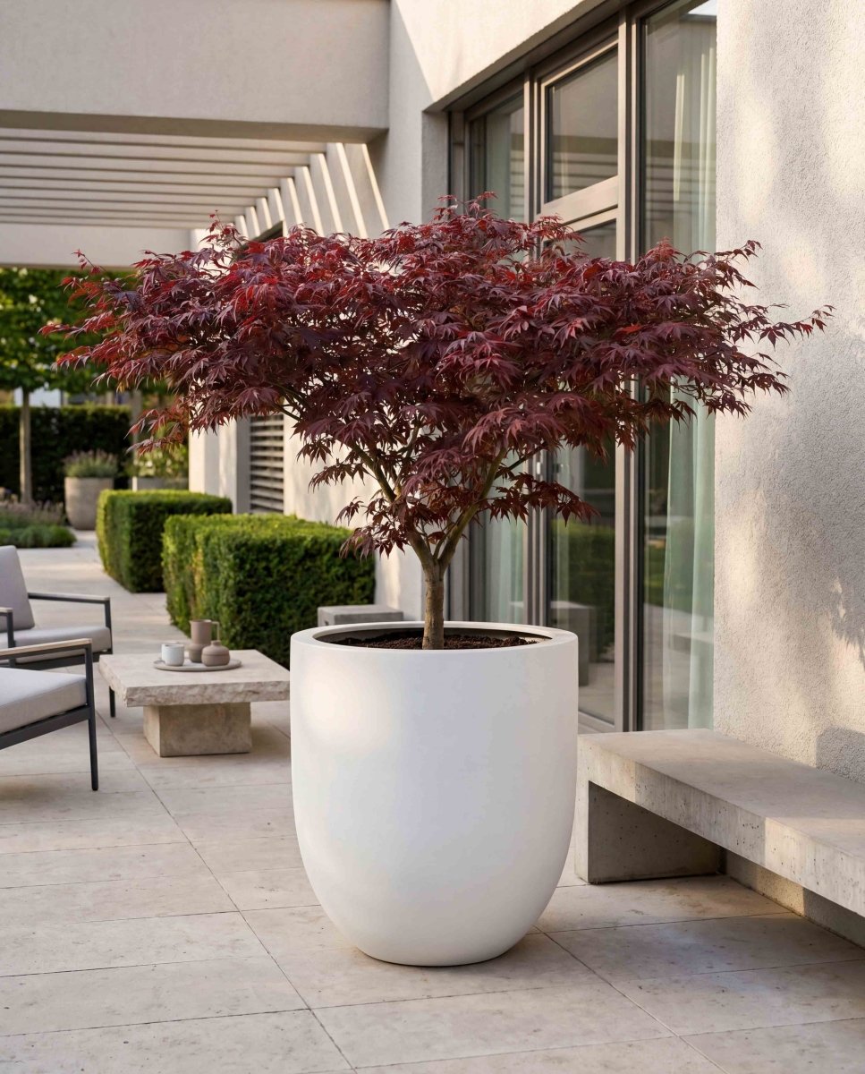 Tall Egg Pot | Pure Collection | Santorin White - ESCHBACH