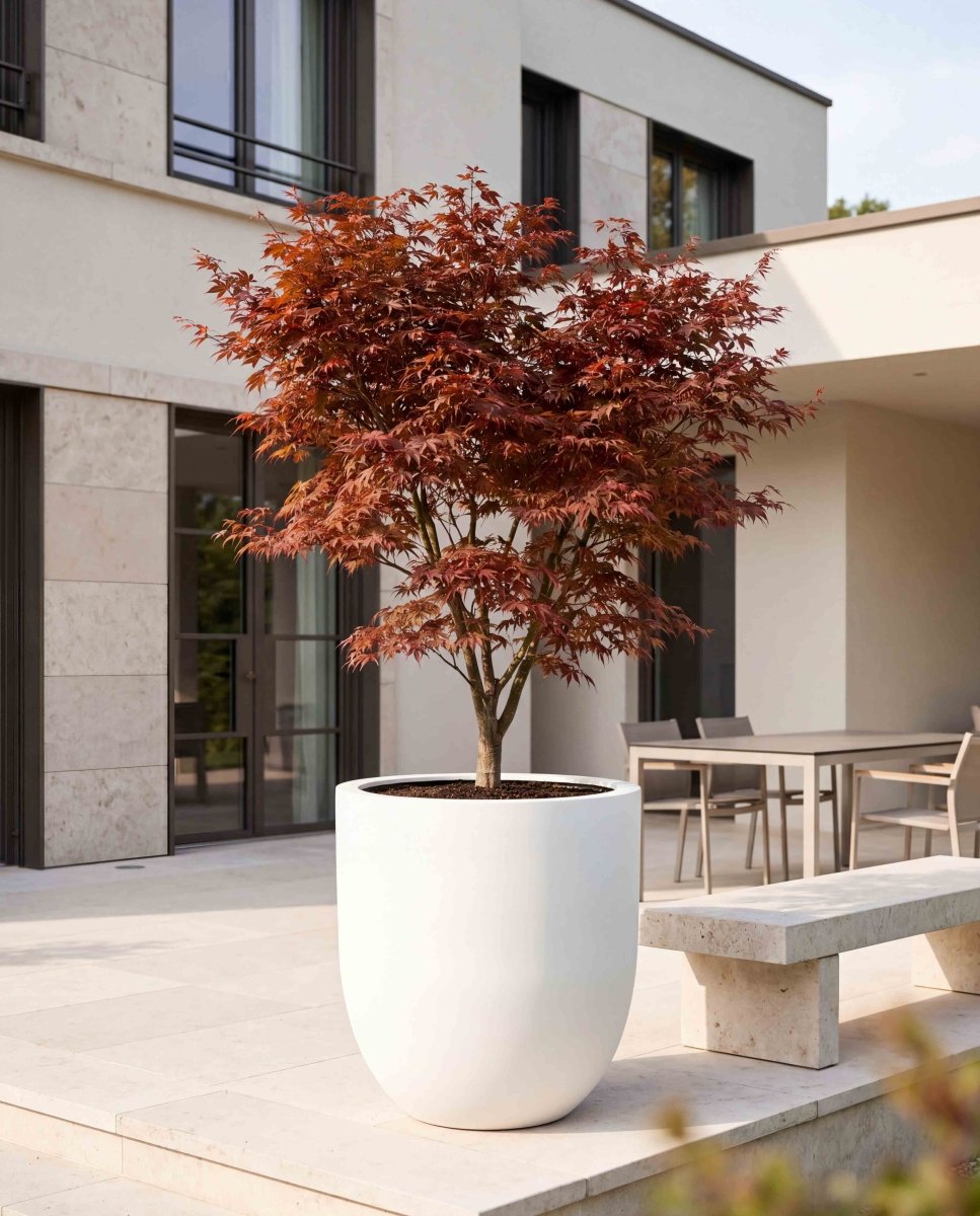 Tall Egg Pot | Pure Collection | Santorin White - ESCHBACH