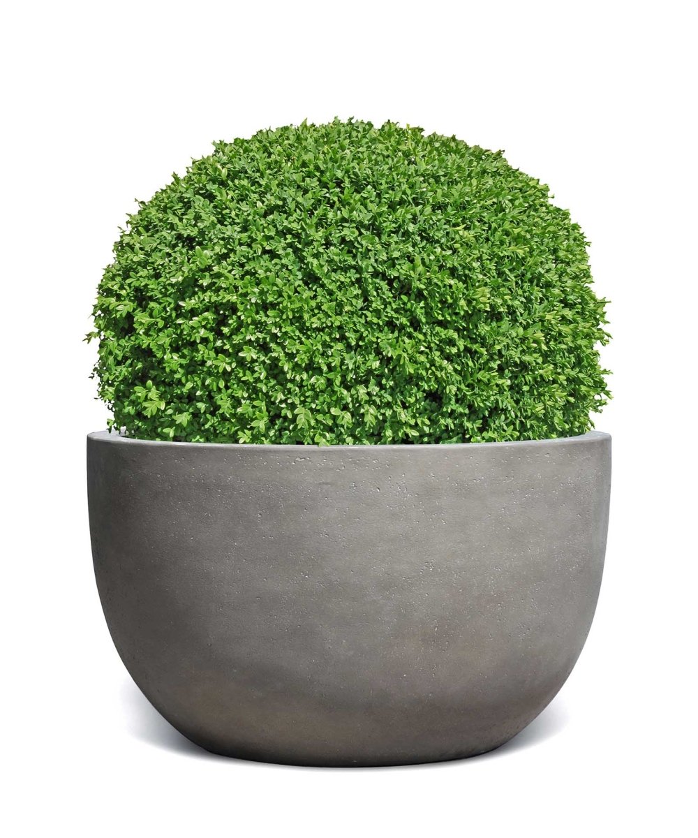 Grand Egg Pot | Loft Collection | Concrete Grey - ESCHBACH