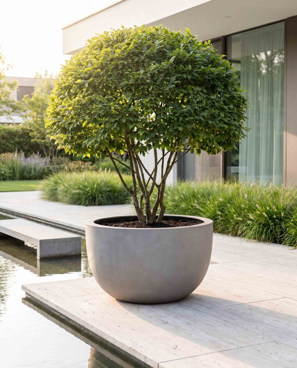 Grand Egg Pot | Loft Collection | Light Grey - ESCHBACH