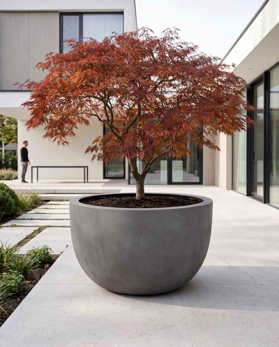 Grand Egg Pot | Loft Collection | Concrete Grey - ESCHBACH