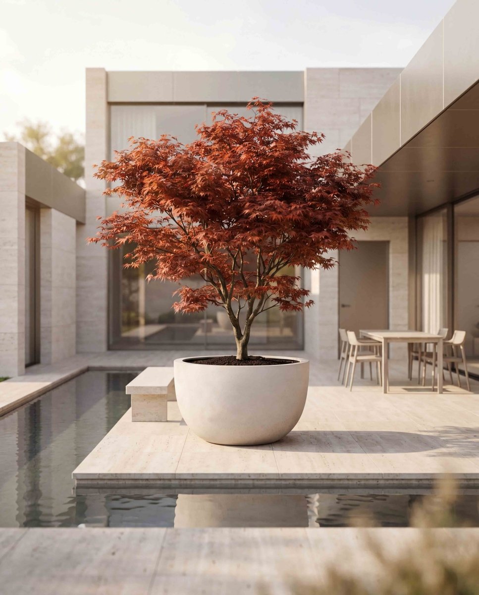 Grand Egg Pot | Loft Collection | Off White - ESCHBACH