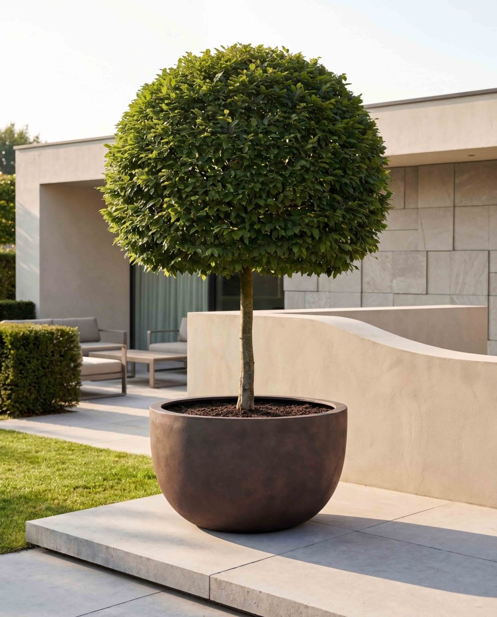 Grand Egg Pot | Loft Collection | Rust Brown - ESCHBACH