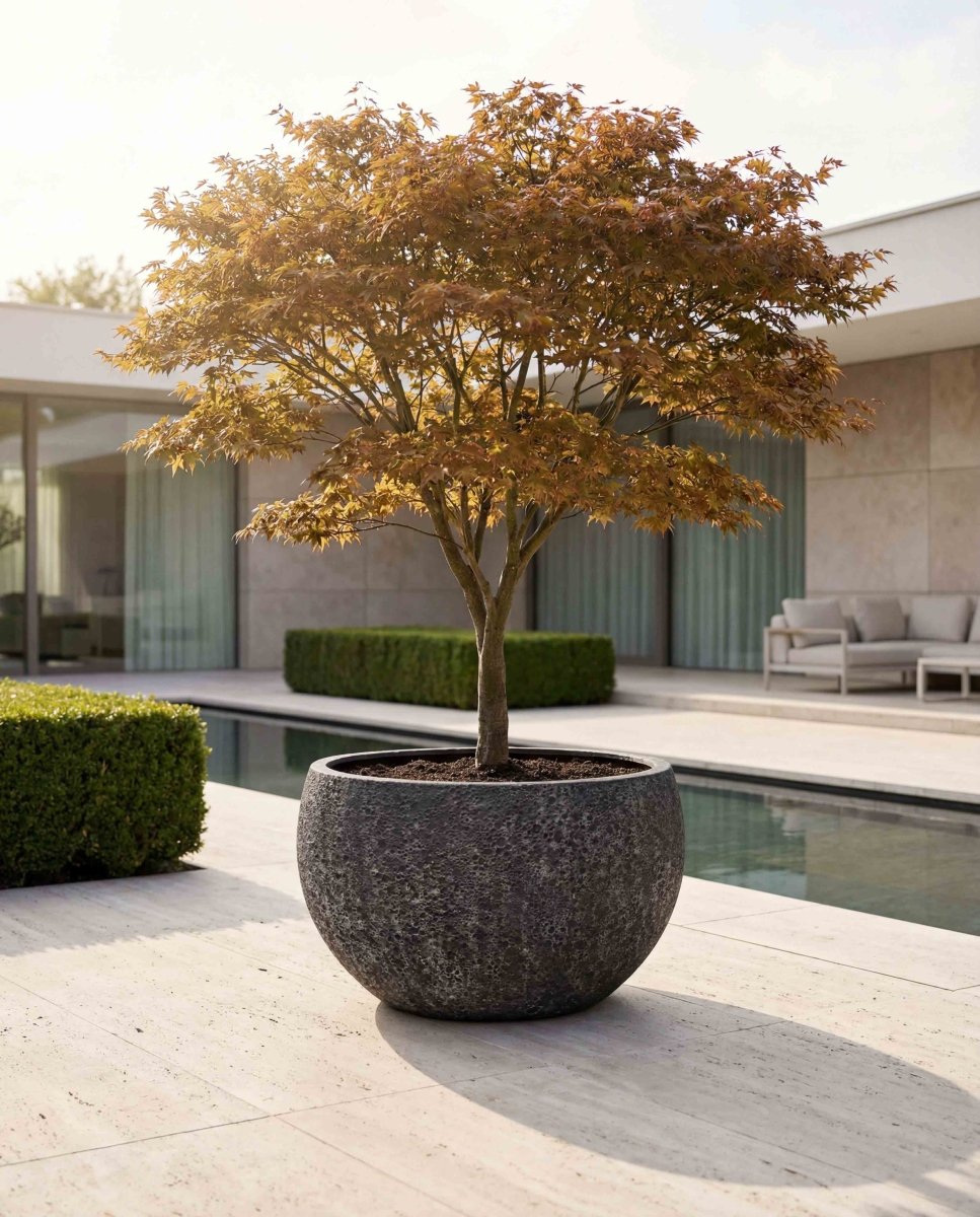 Grand Bowl | Lava Collection | Volcanic Black - ESCHBACH
