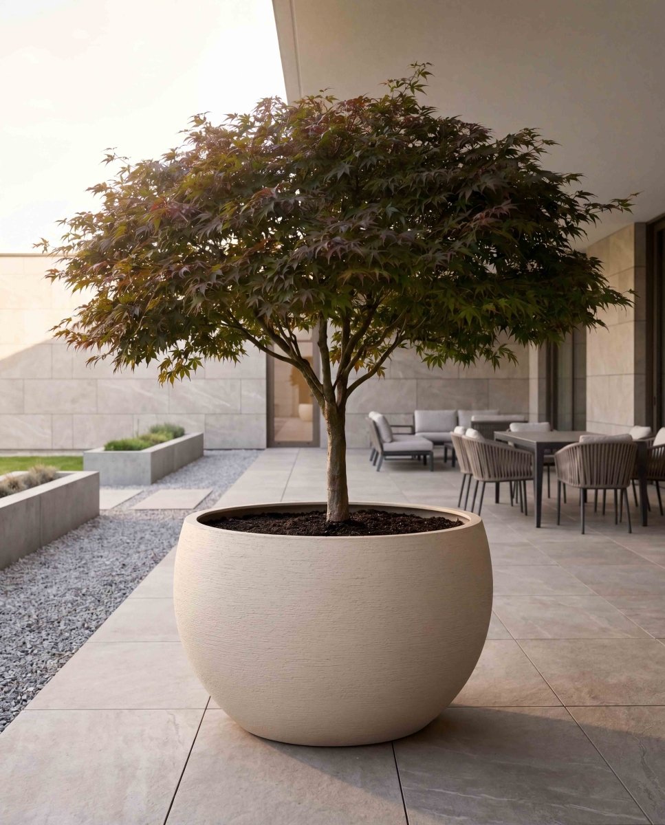 Grand Bowl | Terra Collection | Champagne White - ESCHBACH