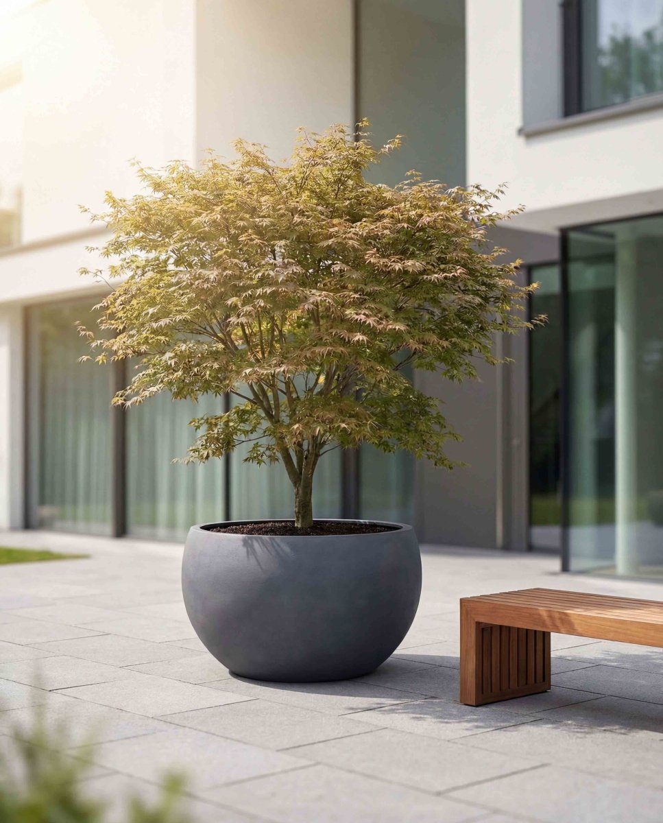 Grand Bowl | Loft Collection | Lead Grey - ESCHBACH