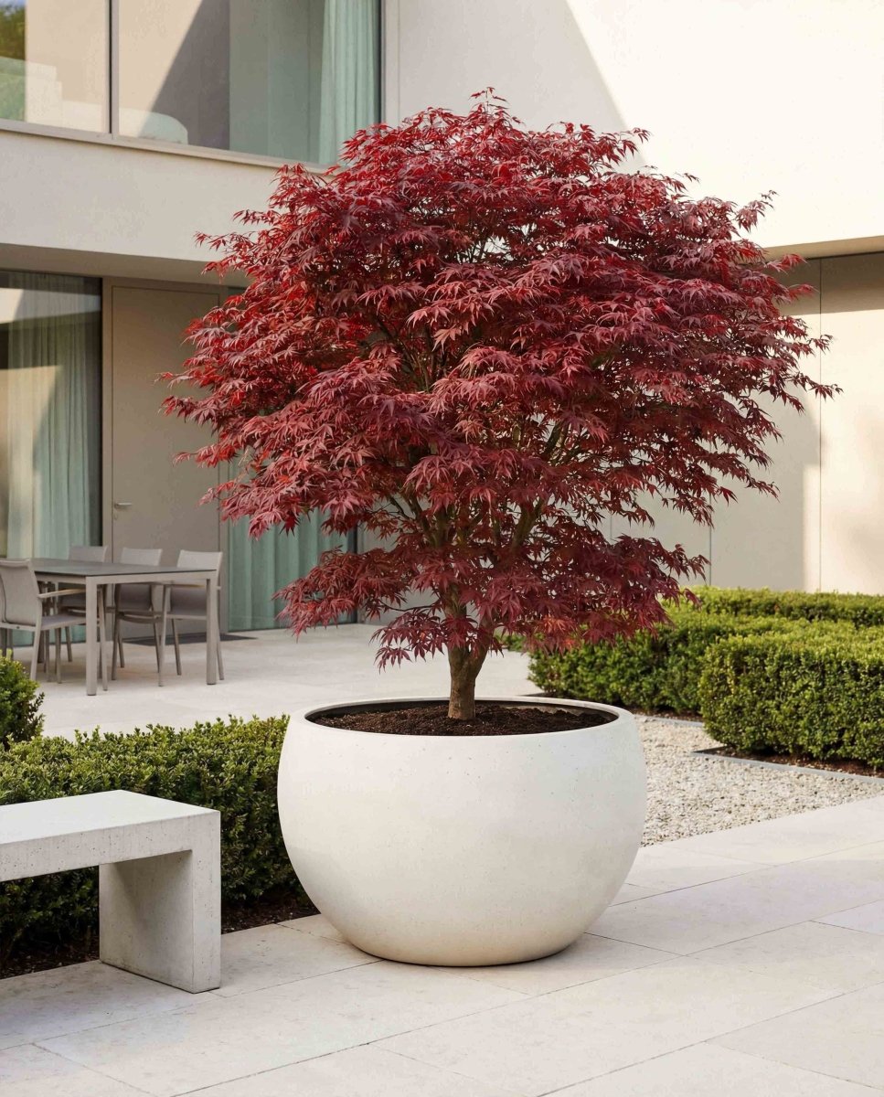 Grand Bowl | Loft Collection | Off White - ESCHBACH