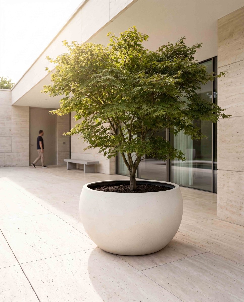Grand Bowl | Loft Collection | Off White - ESCHBACH