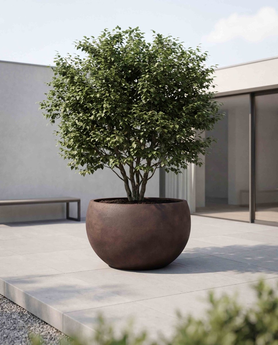 Grand Bowl | Loft Collection | Rust Brown - ESCHBACH