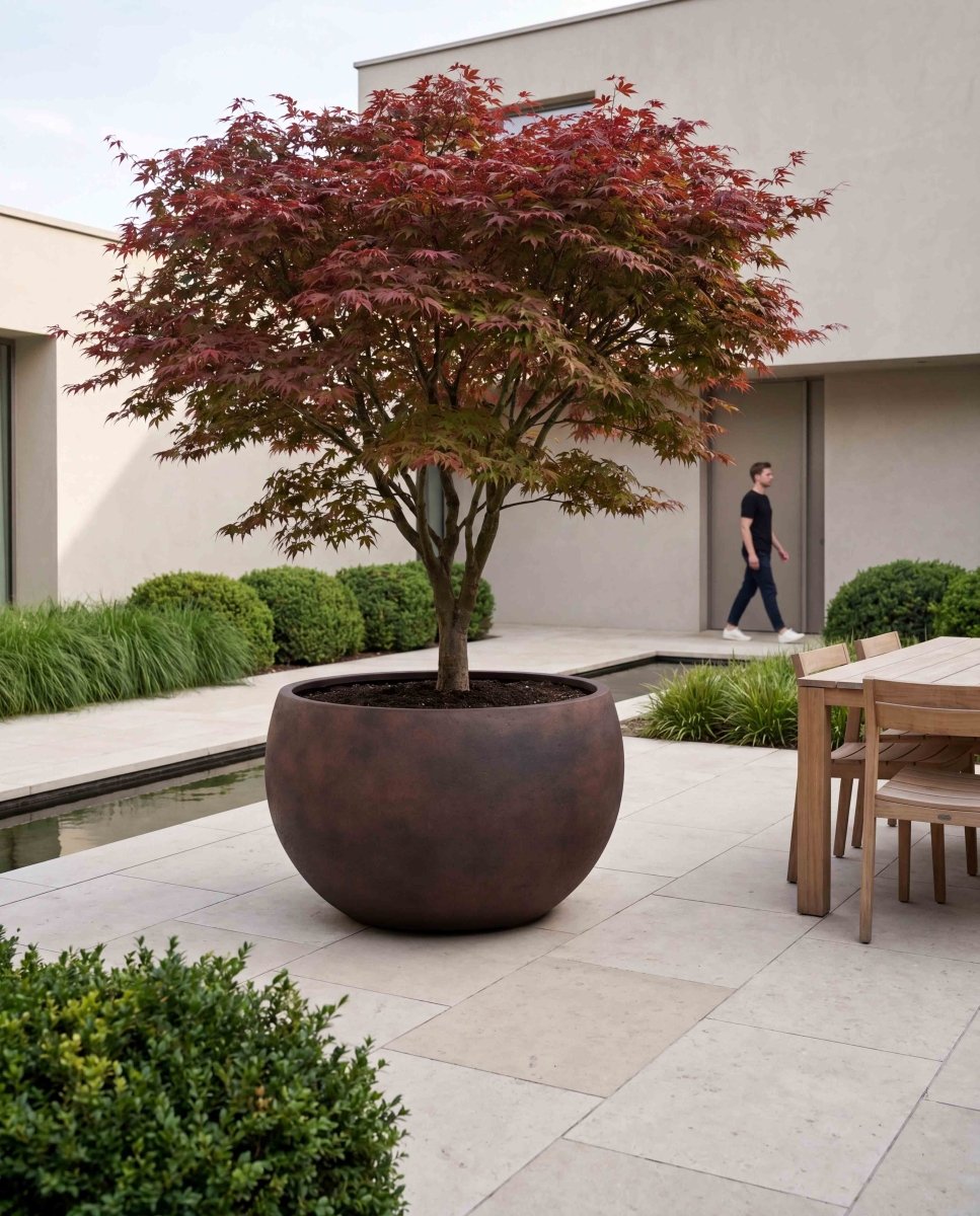 Grand Bowl | Loft Collection | Rust Brown - ESCHBACH