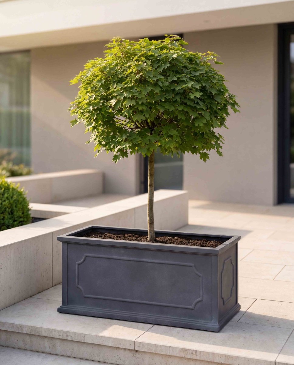 Hampshire | Heritage Collection | Classic Lead - ESCHBACH