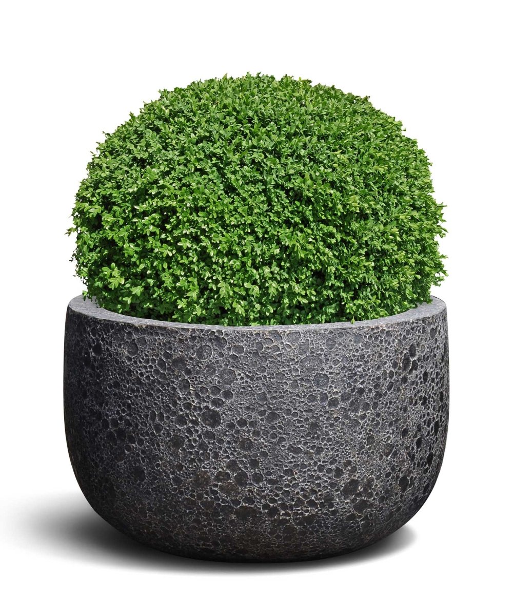 Low U Pot | Lava Collection | Volcanic Black - ESCHBACH