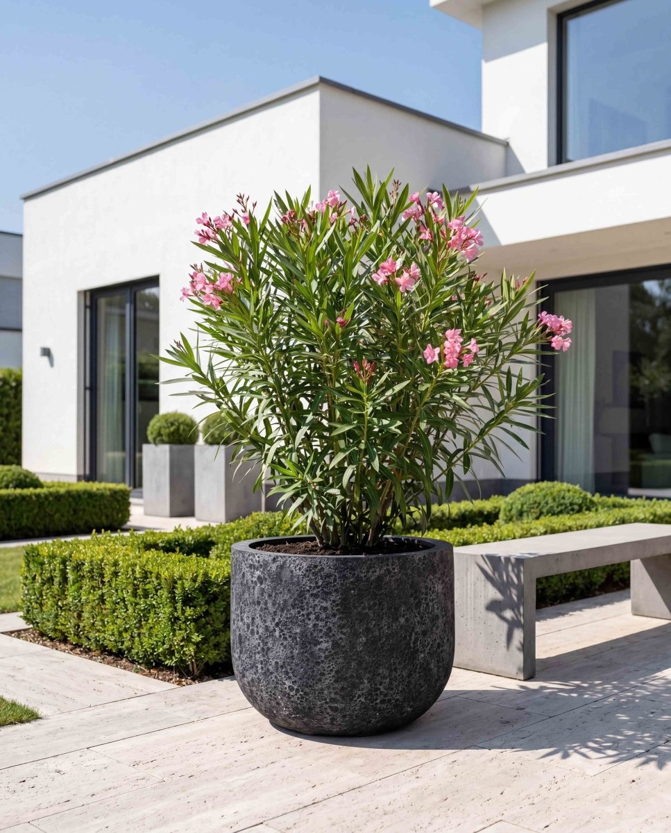 U Pot | Lava Collection | Volcanic Black - ESCHBACH