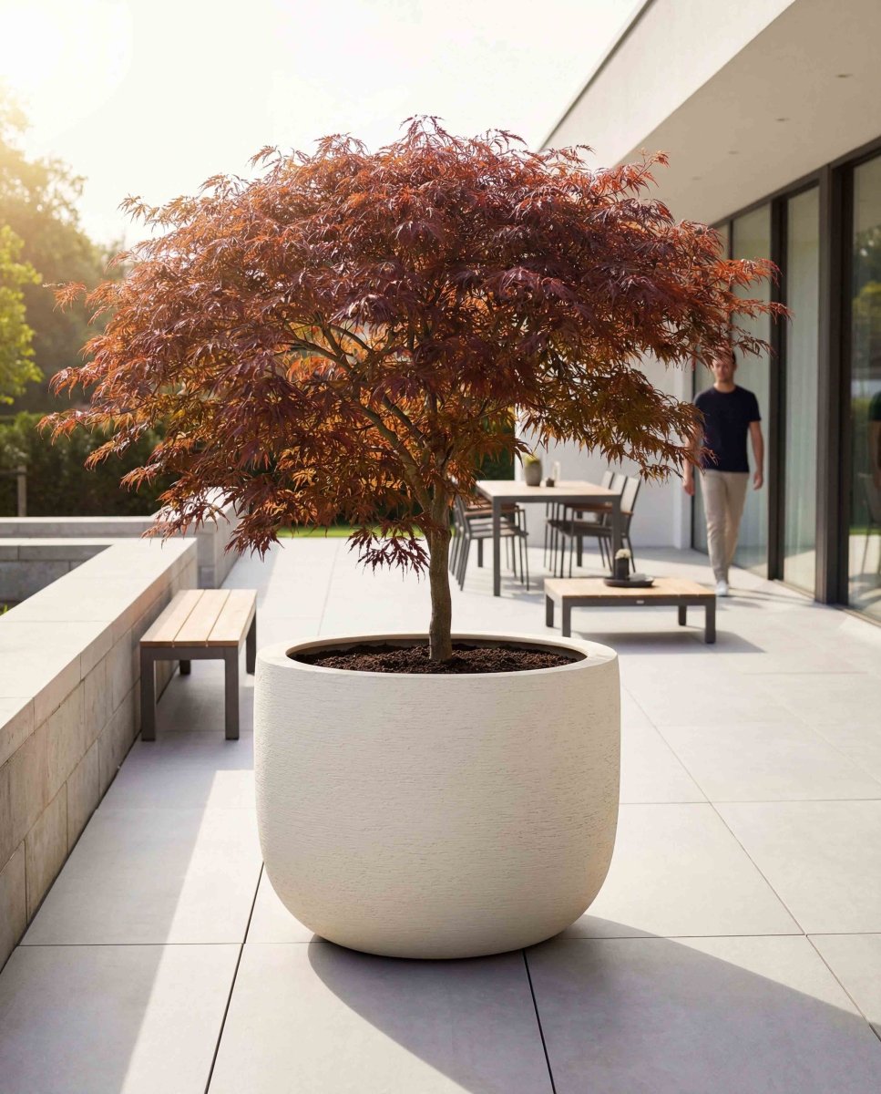 U Pot | Terra Collection | Champagne White - ESCHBACH