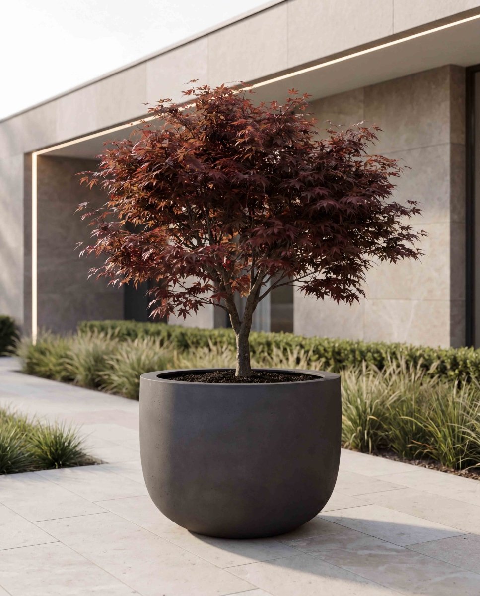 U Pot | Loft Collection | Espresso Black - ESCHBACH