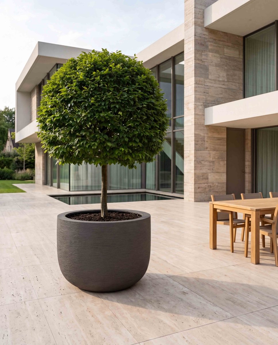 U Pot | Terra Collection | Macchiato Grey - ESCHBACH