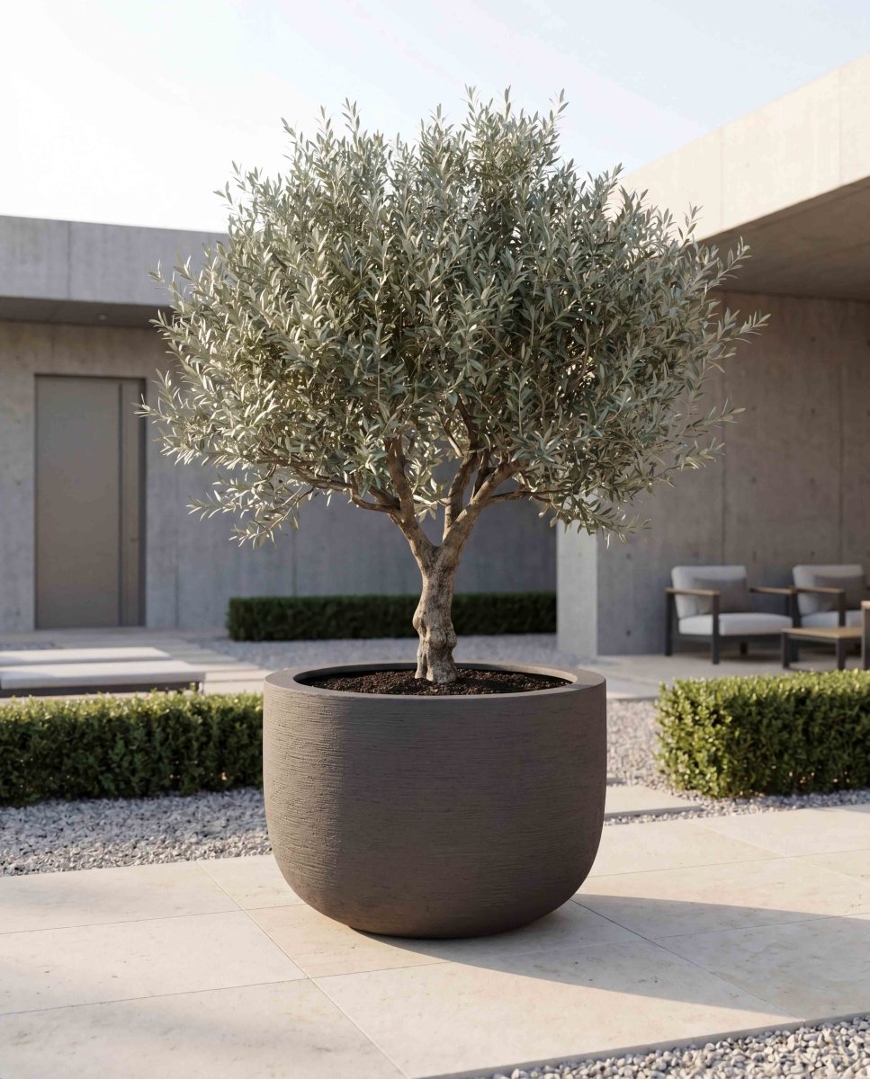 U Pot | Terra Collection | Macchiato Grey - ESCHBACH