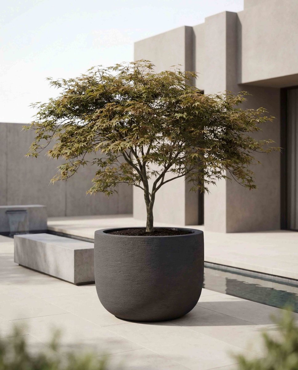 U Pot | Terra Collection | Black Sand - ESCHBACH