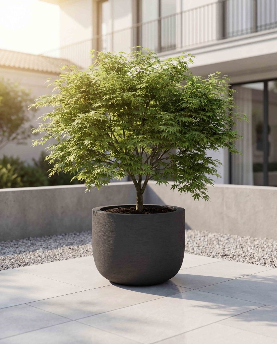 U Pot | Terra Collection | Black Sand - ESCHBACH