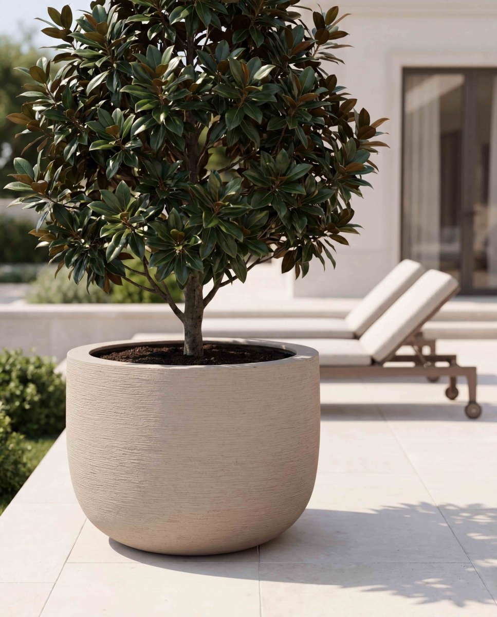 U Pot | Terra Collection | Desert Beige - ESCHBACH