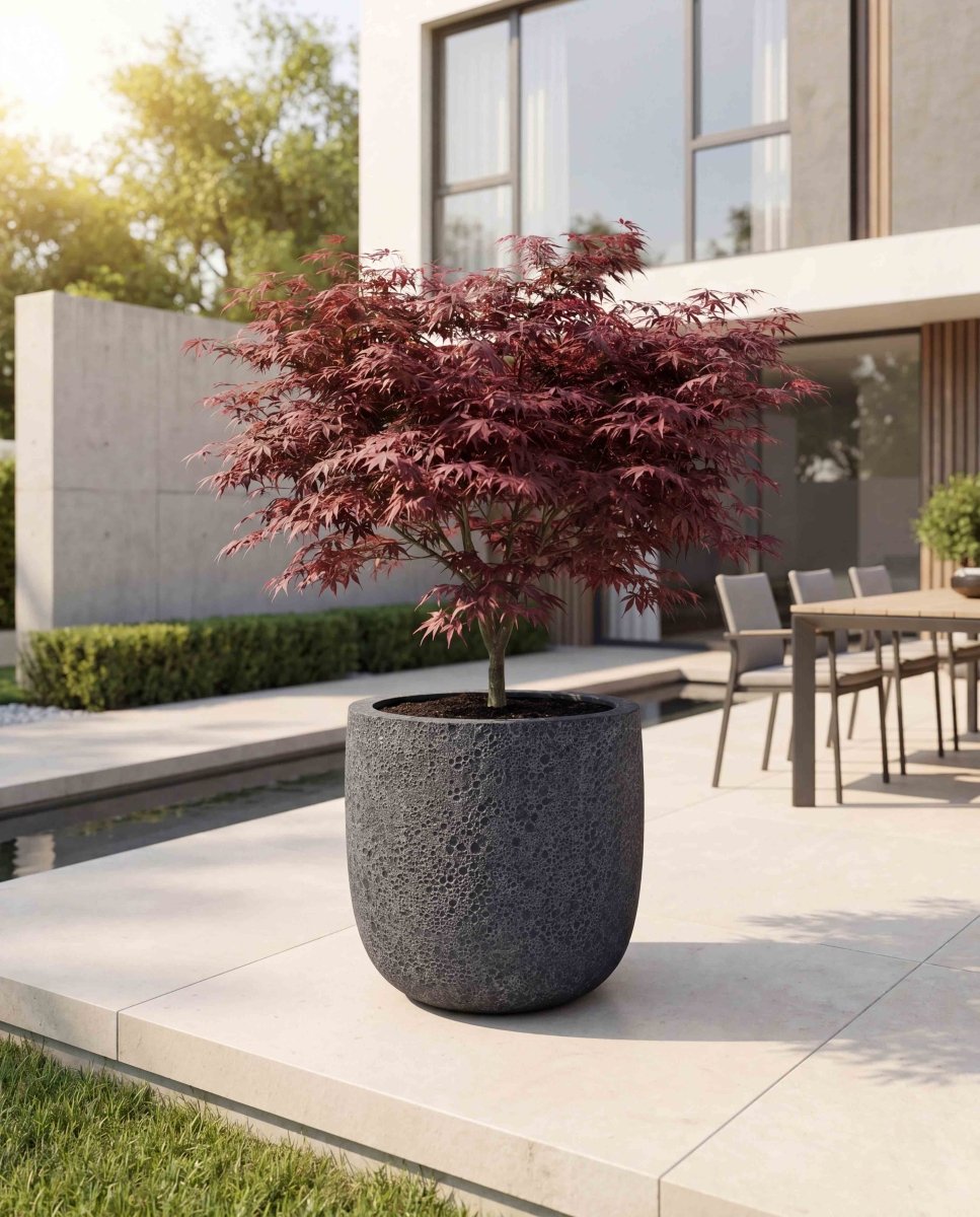 High U Pot | Lava Collection | Volcanic Black - ESCHBACH