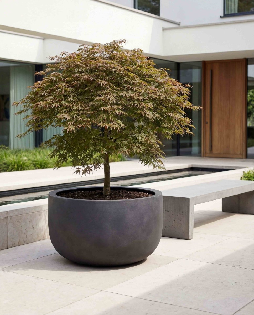 Grand U Pot | Loft Collection | Espresso Black - ESCHBACH
