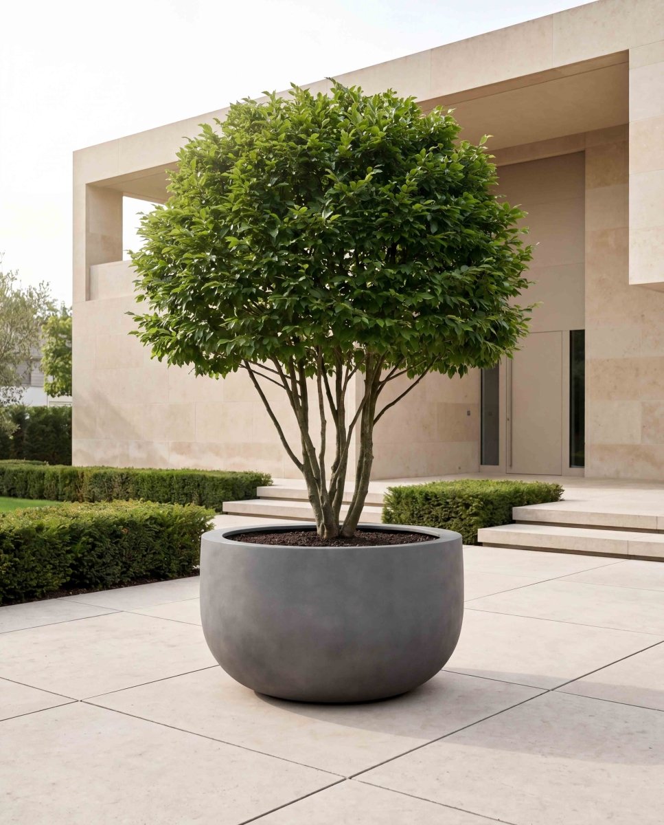 Grand U Pot | Loft Collection | Concrete Grey - ESCHBACH