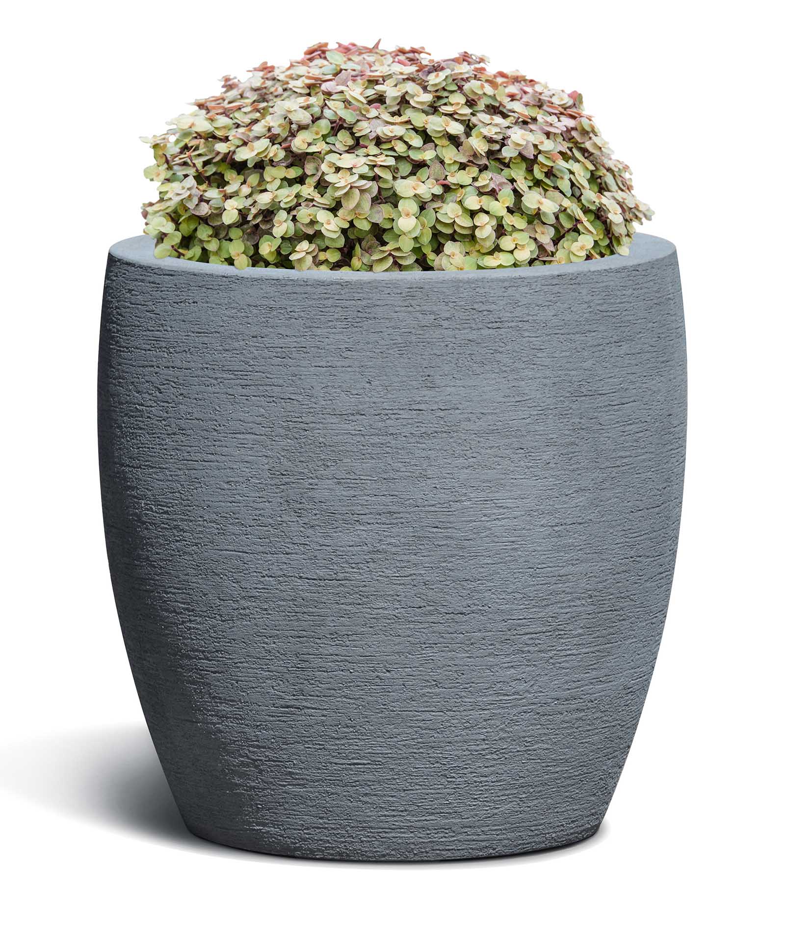 Vase | Terra Collection | Lead Grey