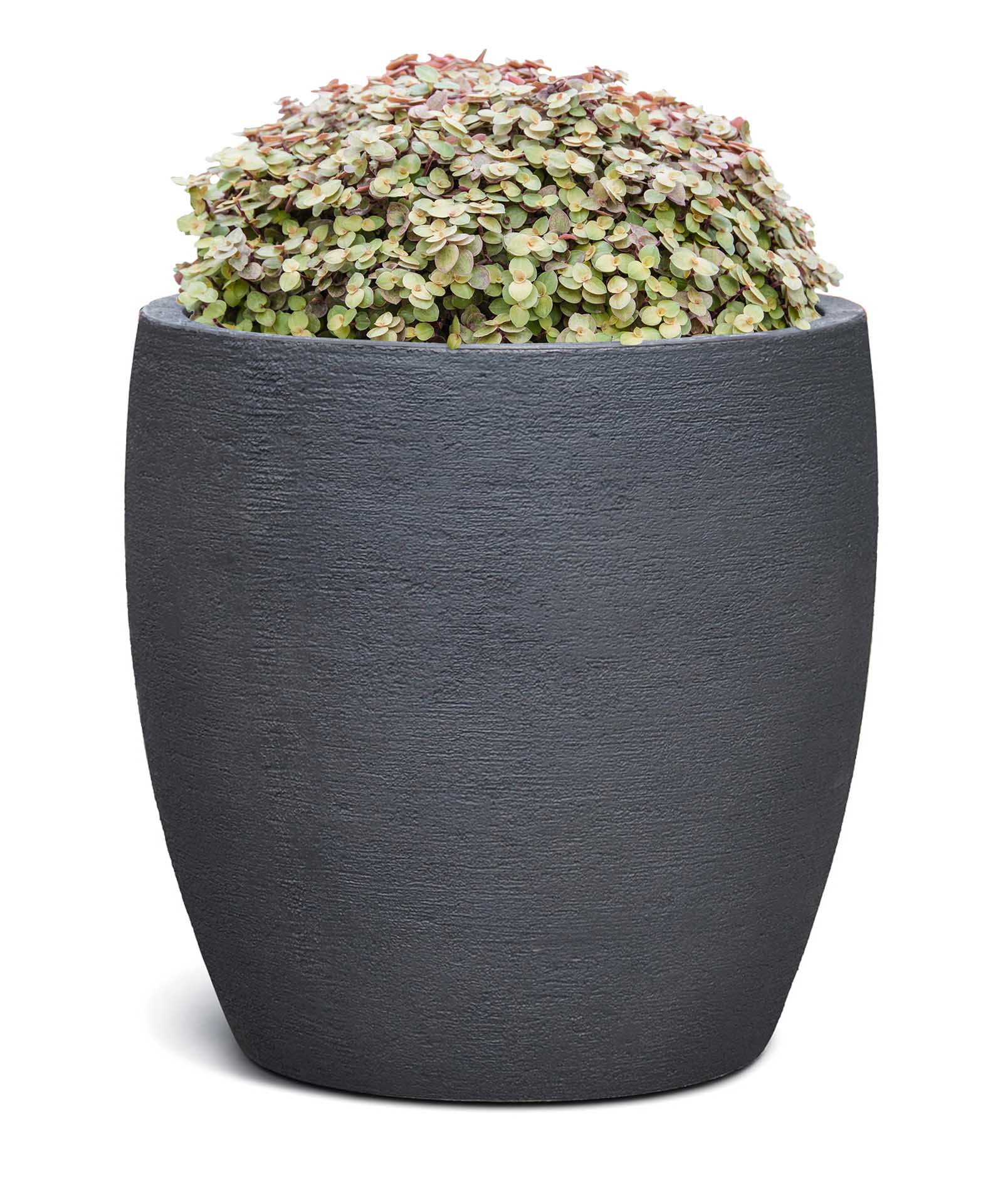 Vase | Terra Collection | Black Sand