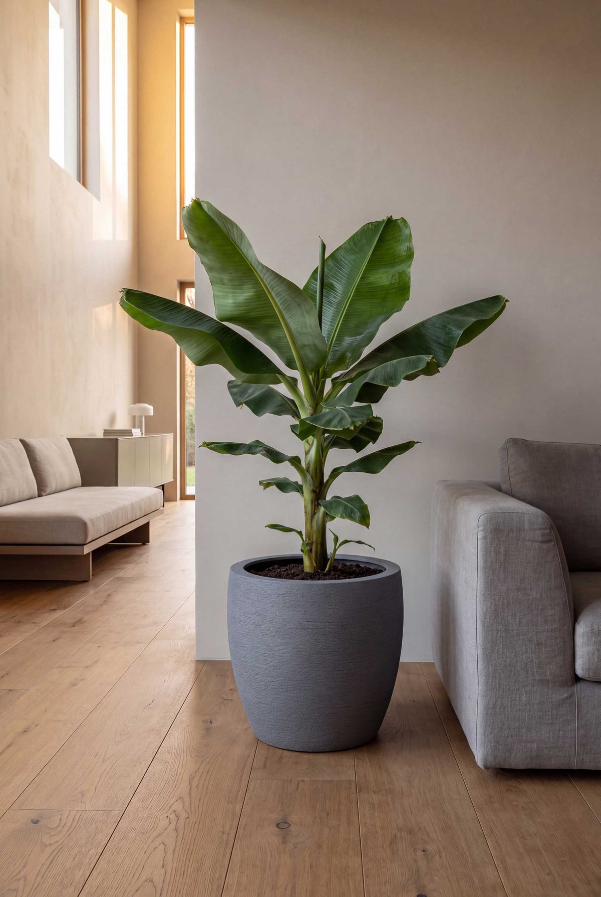 Vase | Terra Collection | Lead Grey