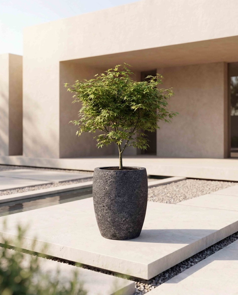 Tall Vase | Lava Collection | Volcanic Black - ESCHBACH